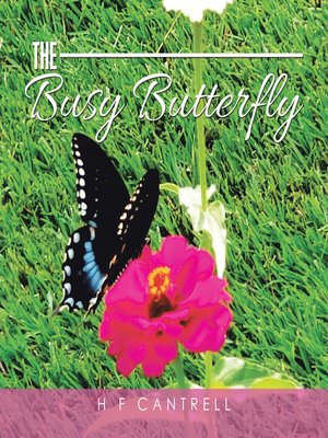 cover image of The Busy Butterfly